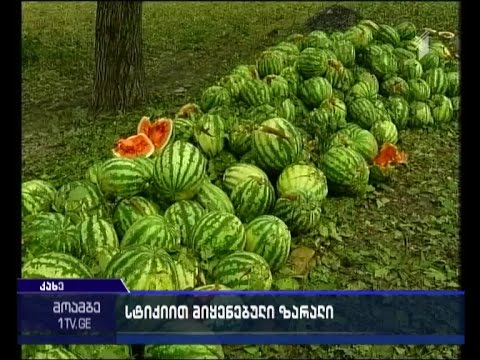 ყვარელში სტიქიისგან მიყენებული ზარალის ოდენობა ცნობილია